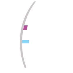 Progetto Arte Poli