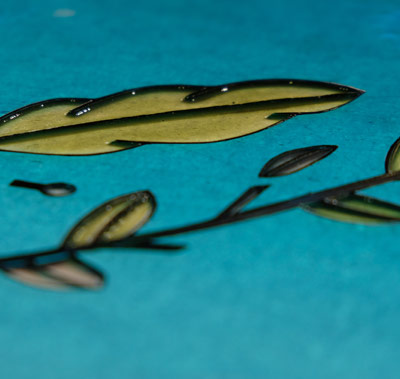 Lavorazione vetro soffiato